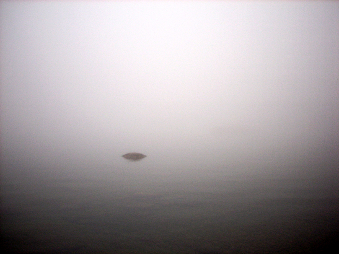 v&auml;ttern