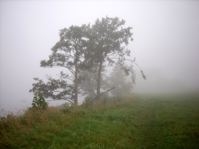 mist_7