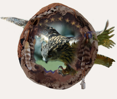 owlmedicine