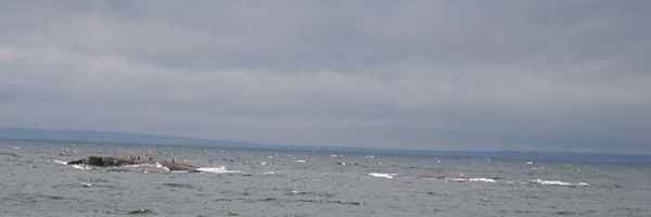 water